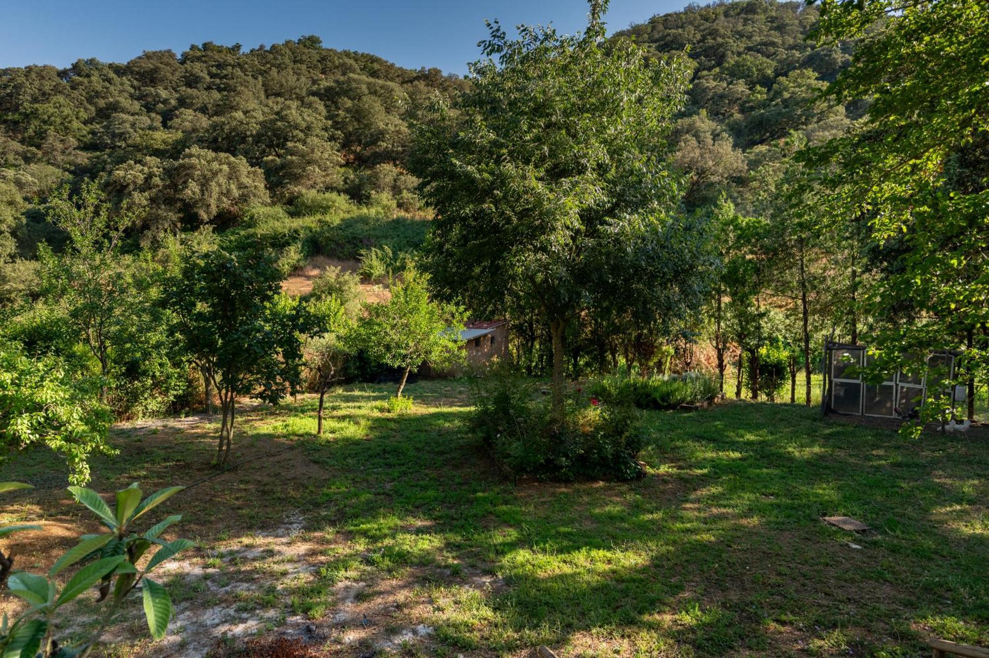 Вілла Ribera Del Hueznar Касалья-де-ла-Сьєрра Екстер'єр фото